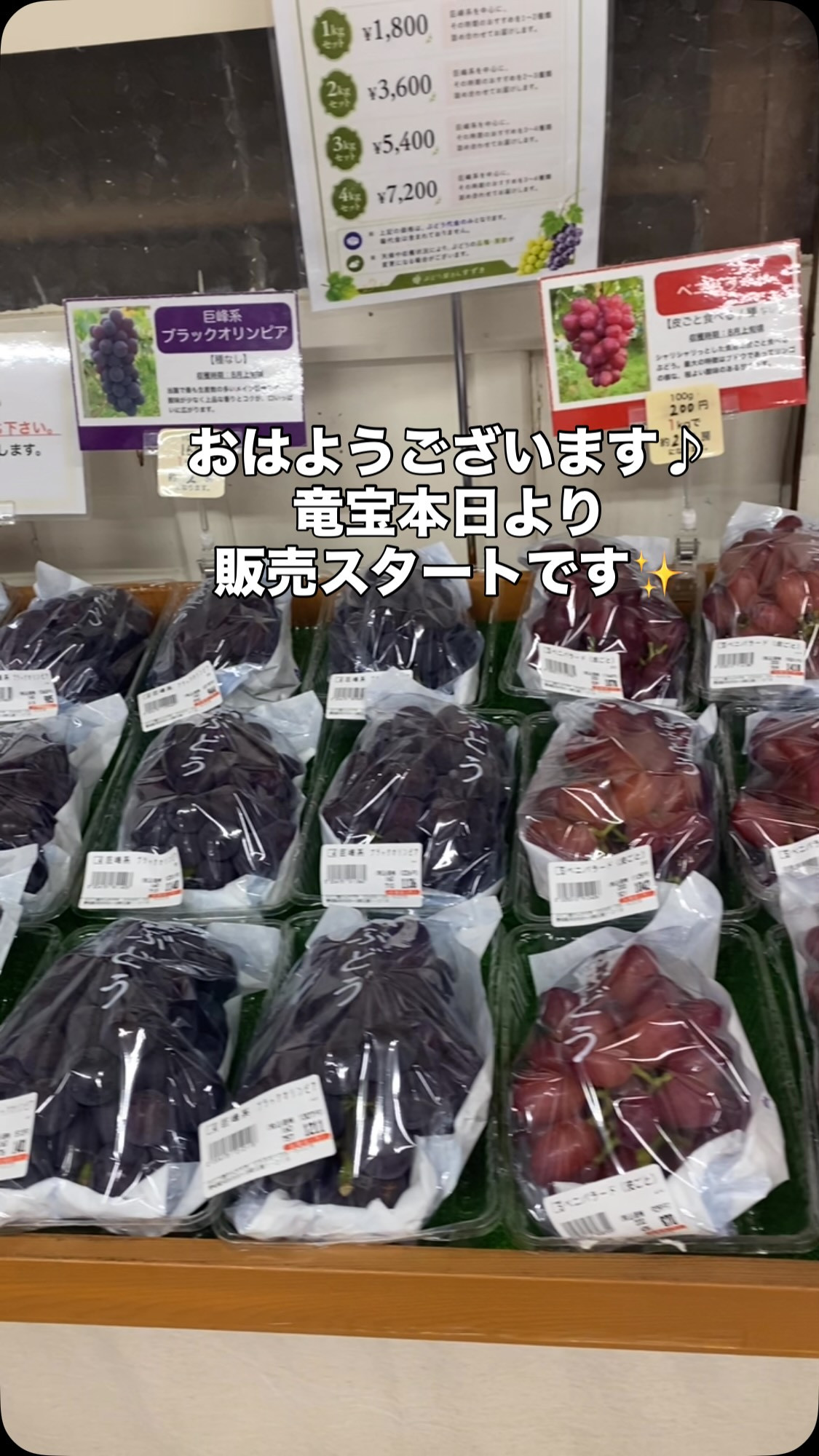 おはようございます♪