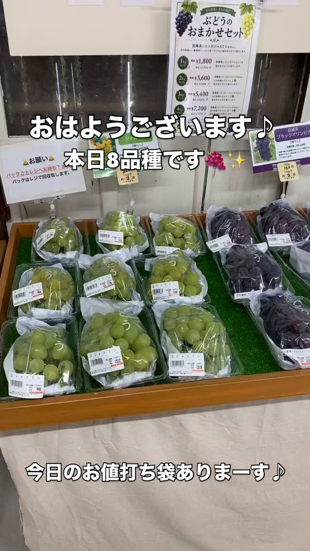 おはようございます☀