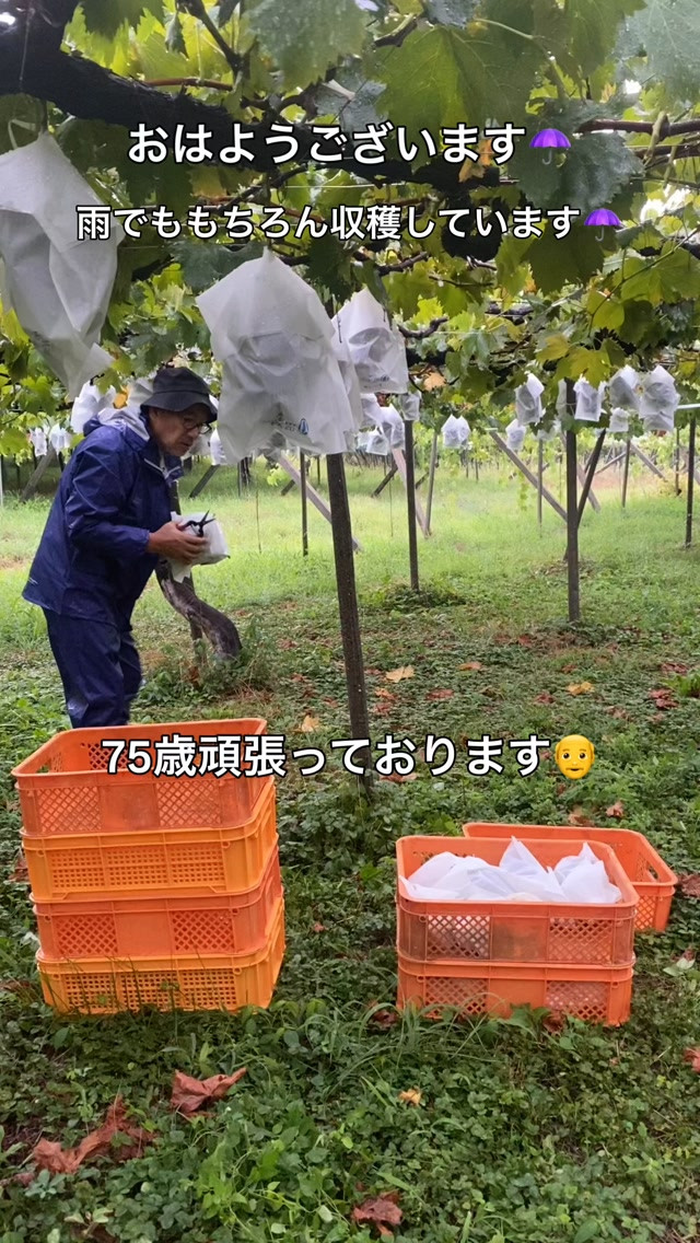おはようございます♪
