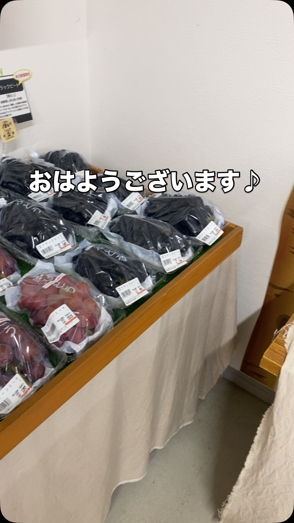 おはようございます♪
