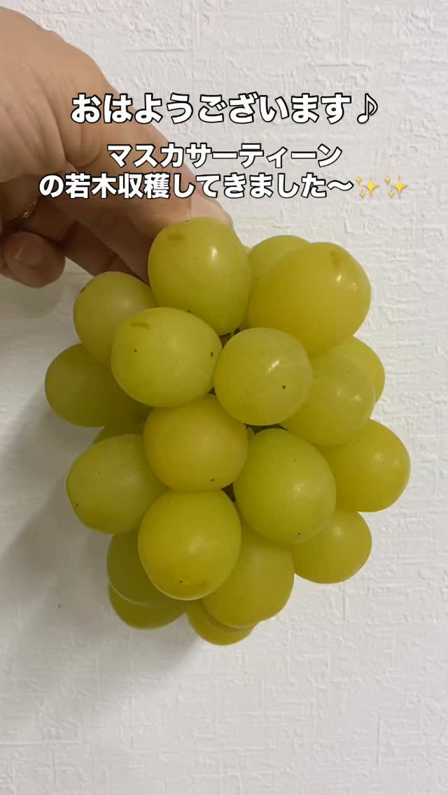 おはようございます🌞