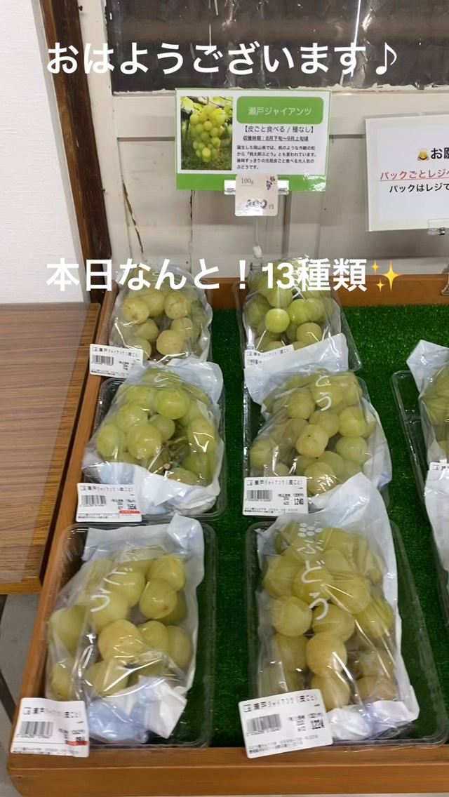 おはようございます♪
