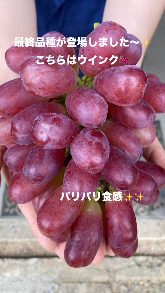 おはようございます♪