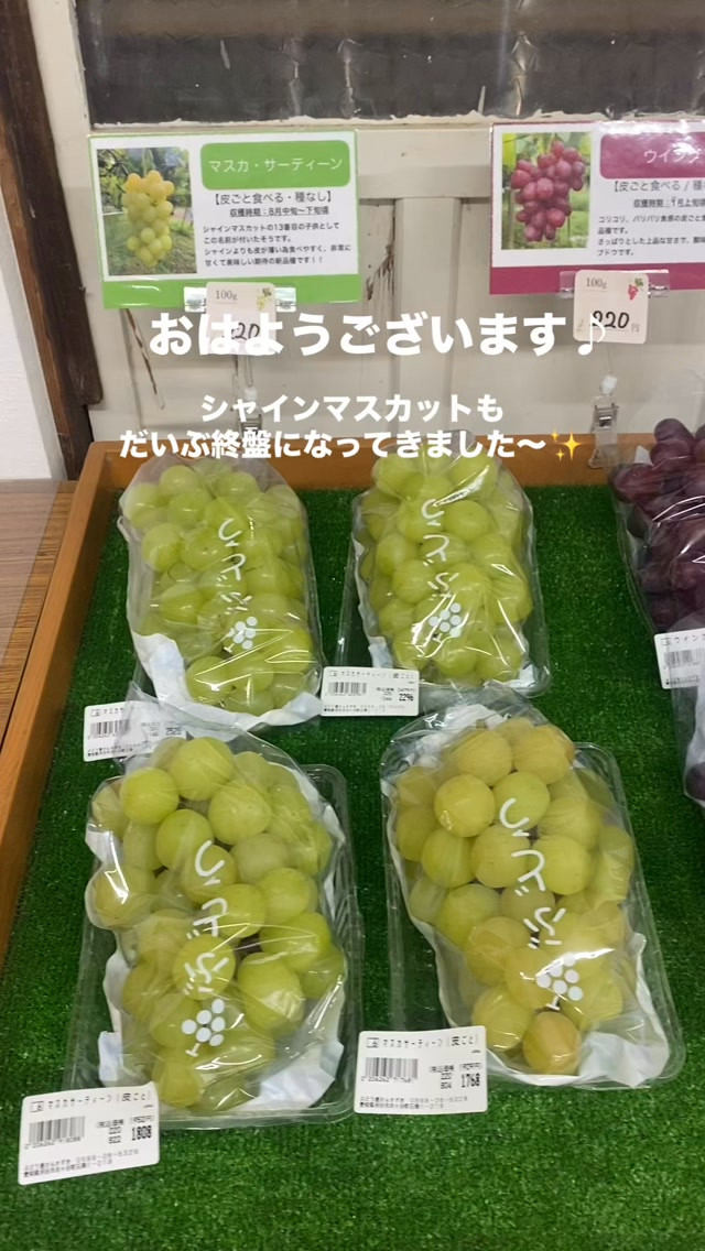 おはようございます🌞