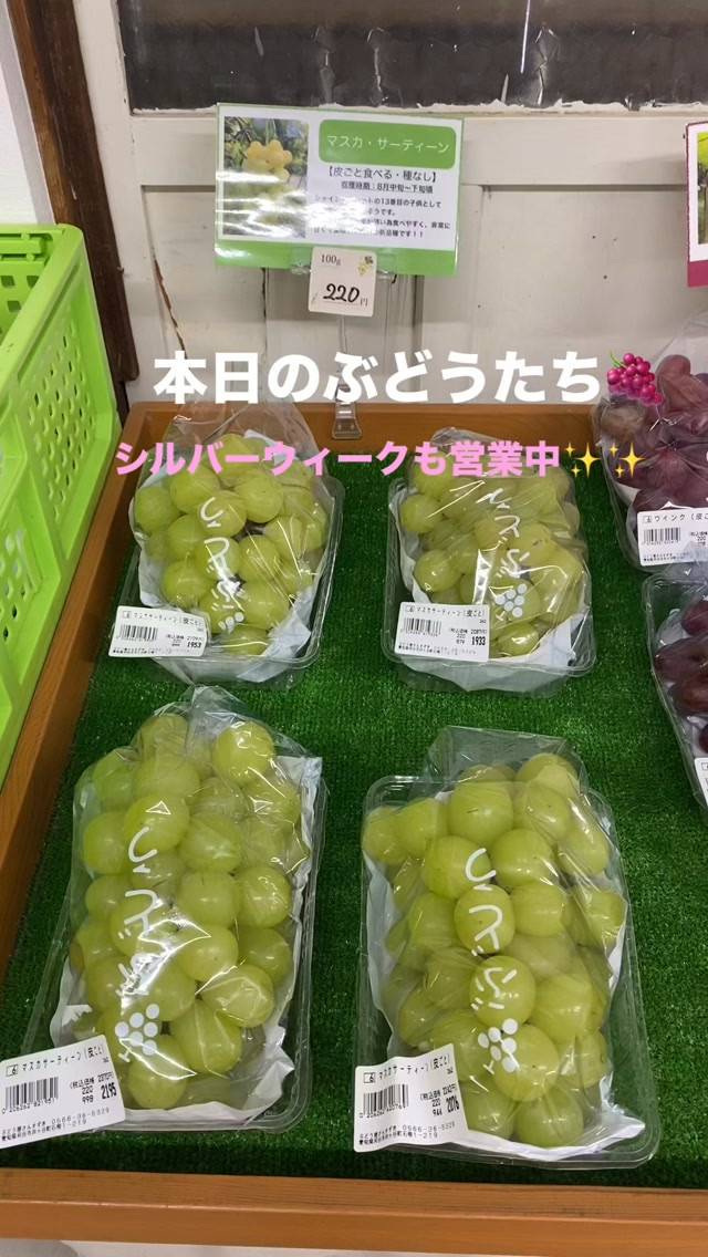 おはようございます🍇