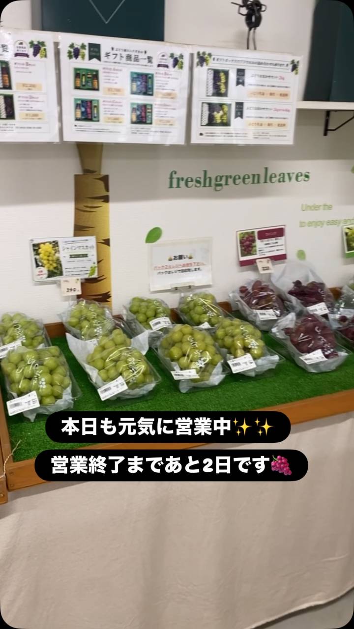 おはようございます♪