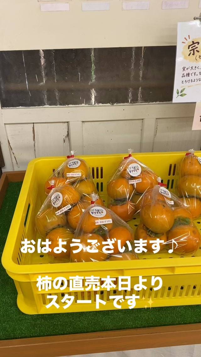 おはようございます☀