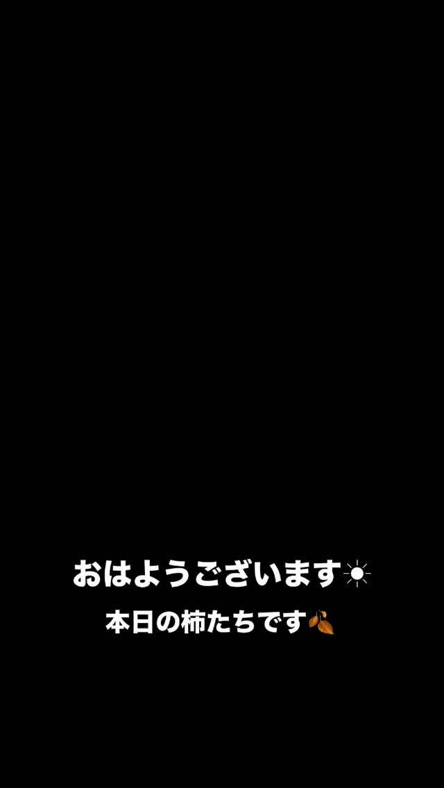 おはようございます🌞